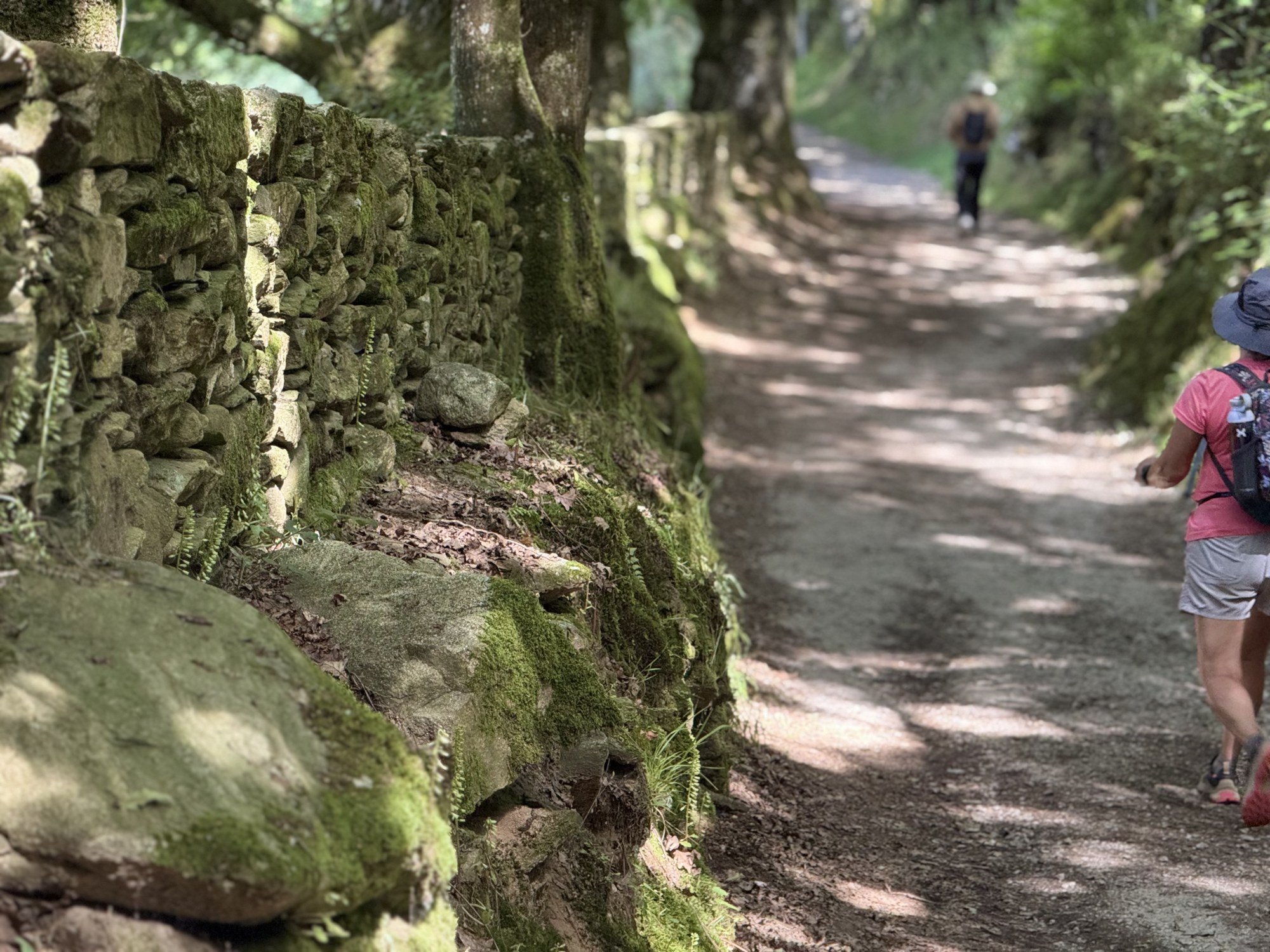 Pilgrims walking a shaded Camino path beside a moss-covered stone wall